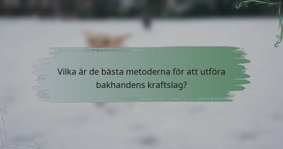 Vilka är de bästa metoderna för att utföra bakhandens kraftslag?